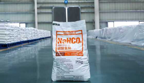 Sodium Bicarbonate Baking Soda Feed Grade